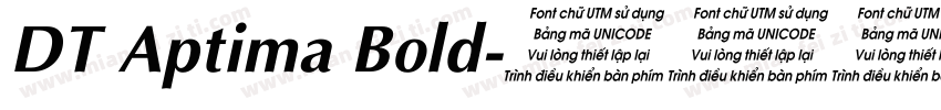 DT Aptima Bold字体转换